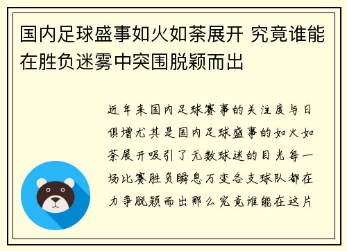 国内足球盛事如火如荼展开 究竟谁能在胜负迷雾中突围脱颖而出