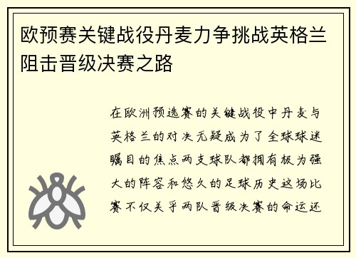 欧预赛关键战役丹麦力争挑战英格兰阻击晋级决赛之路