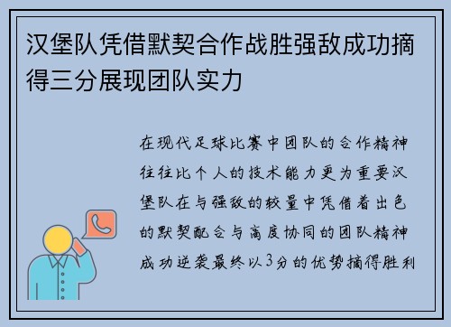 汉堡队凭借默契合作战胜强敌成功摘得三分展现团队实力